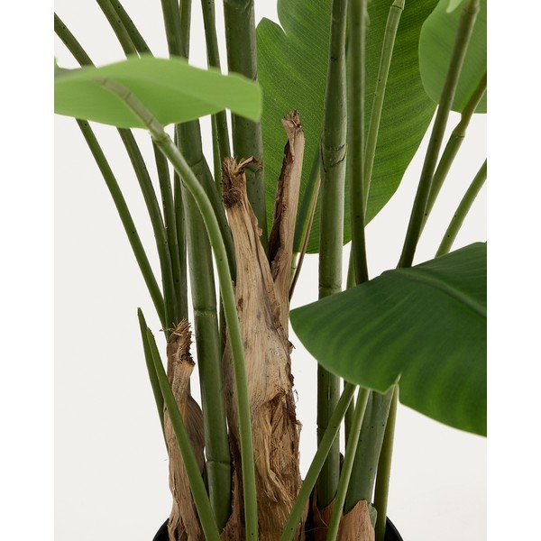 Kunstlik banaanipuu (kõrgus 210 cm) - Kave Home-image-1