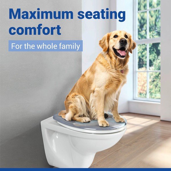 WC-pott automaatse sulgumisega 36,8 x 43 Fleur - Allstar-image-1