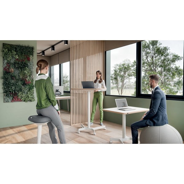 Ergonoomiline tasakaalutool Ergo - Leitz-image-2