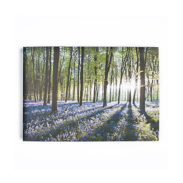 Obraz Graham & Brown Bluebell Landscape, 100 x 70 cm