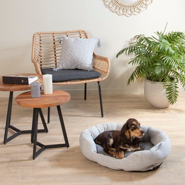 Hall koeravoodi 45x60 cm - Love Story-image-3