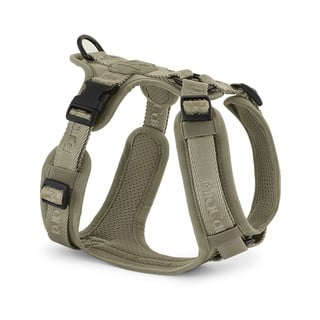 Roheline traksid XS pikkus 25 cm Modena Grolive XS – MiaCara