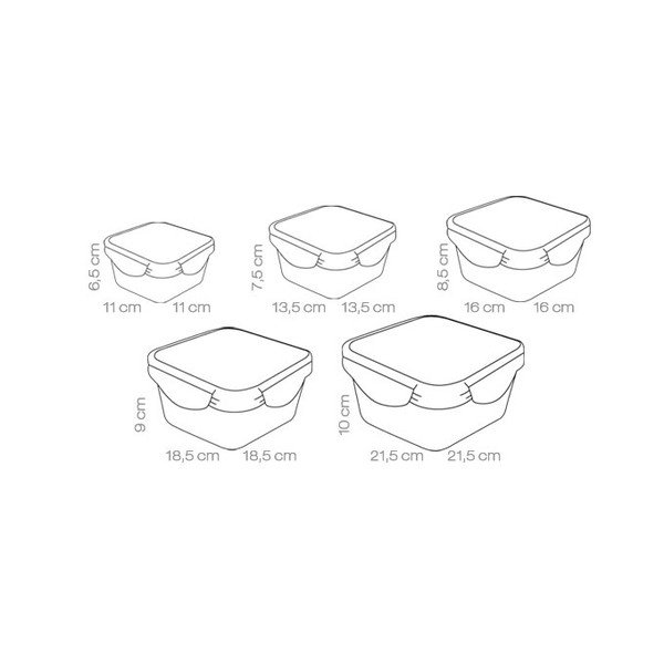 Toidukarbid 5 tk Freshbox - Tescoma-image-2