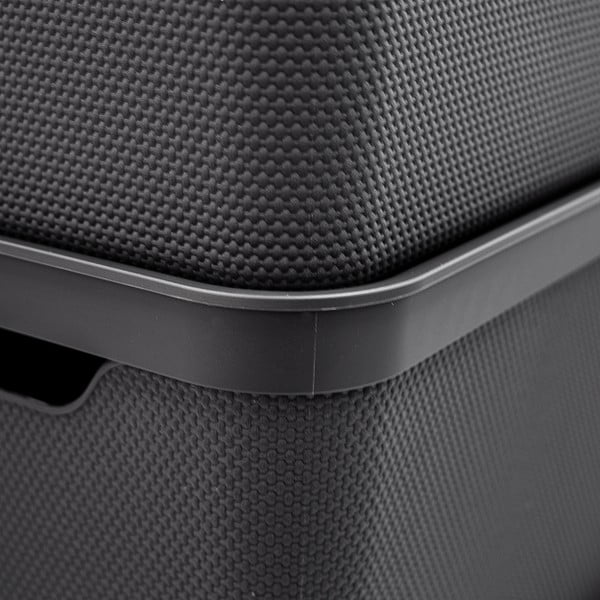 Kaanega plastist hoiukarp Deco - Rotho-image-3