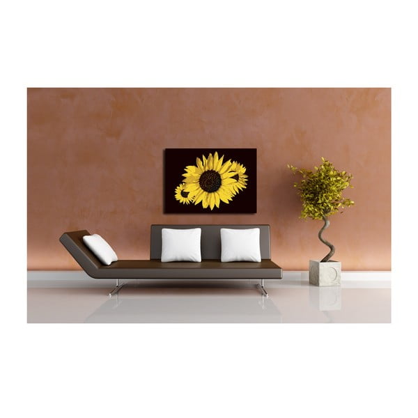 Obraz Sun Flower, 40x60 cm