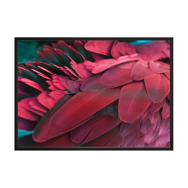 Plakat Punane, 100 x 70 cm Feathers - DecoKing
