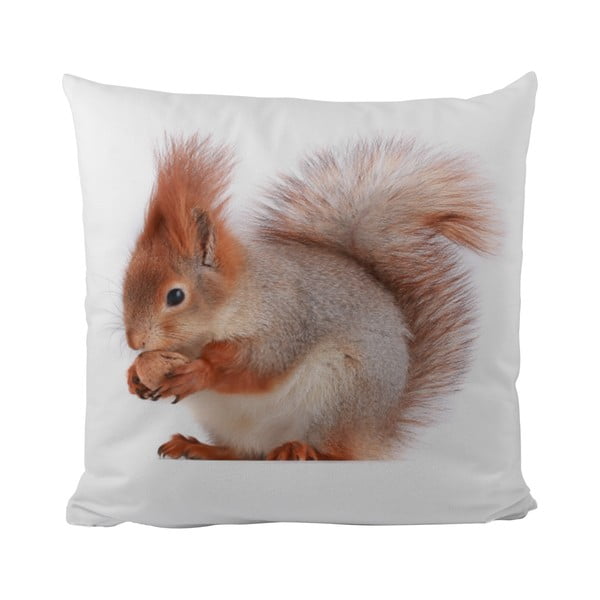 Polštář This Squirrel, 50x50 cm
