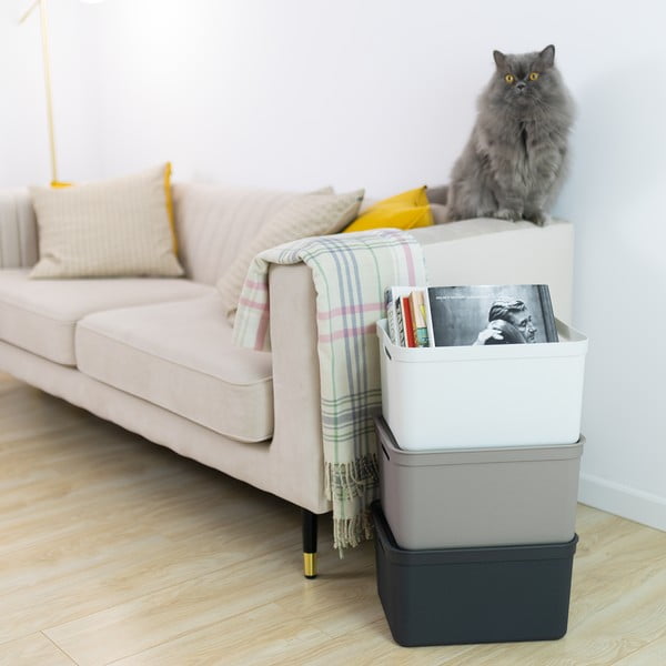 Kaanega plastist hoiukarp Deco - Rotho-image-1