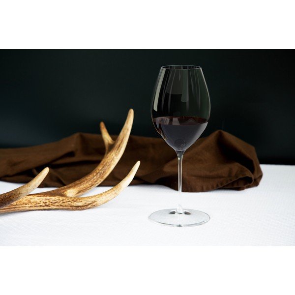 2 veiniklaasi komplekt, 631 ml Performance Syrah - Riedel-image-1