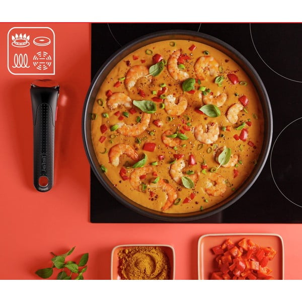 Roostevaba terasnõude komplekt, 13 tk INGENIO Emotion L897DS04 - Tefal-image-3