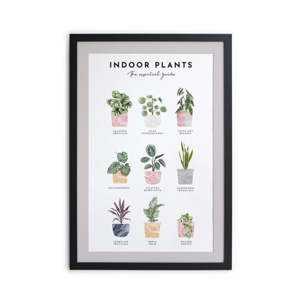 Seinamaal raamides, 30 x 40 cm Indoor Plants - Really Nice Things