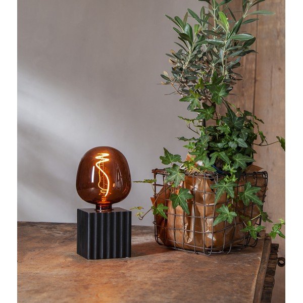 Must lambijalg 10 cm Box - Star Trading-image-3