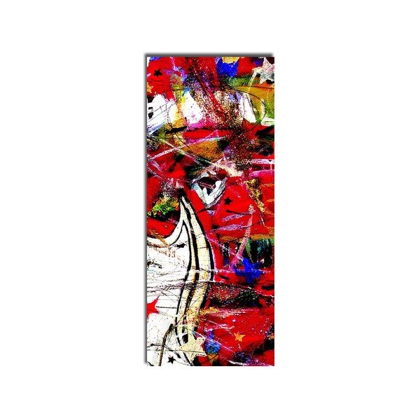 Obraz na plátně Passion, 30 x 70 cm