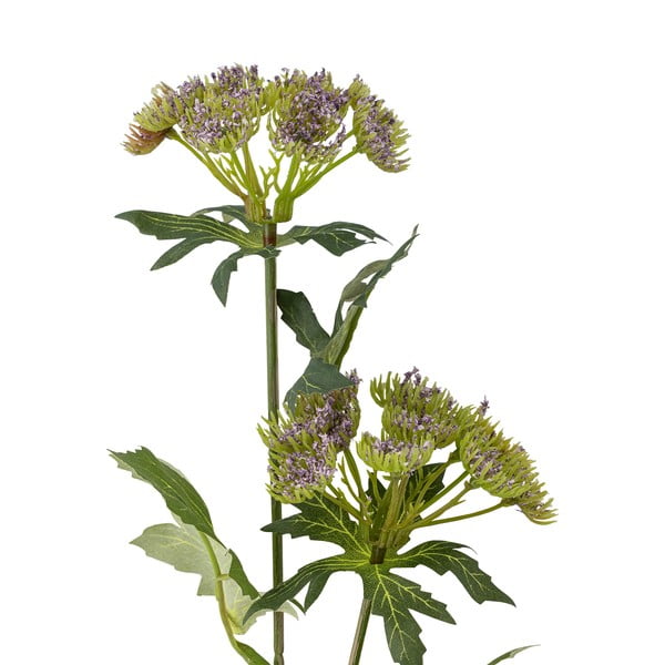 Kunsttaim (kõrgus 49 cm) Throatwort - Bloomingville-image-2