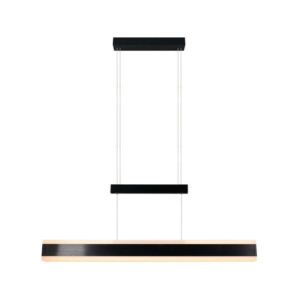 Matt must LED-rippvalgusti metallist varjuga Arcola - Trio