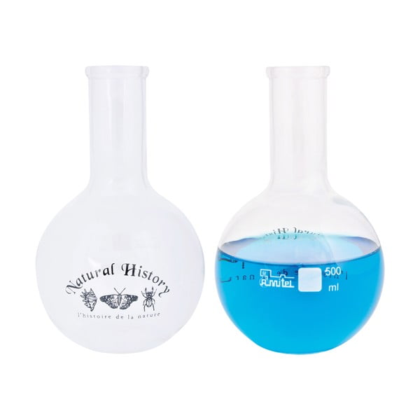 Klaasvaas (kõrgus 23 cm) Natural History - Esschert Design-image-2