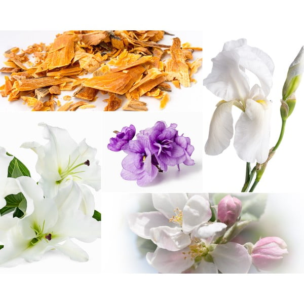 Lõhnastatud sojaküünal 60 h Muscs Poudres – Privé Home-image-2