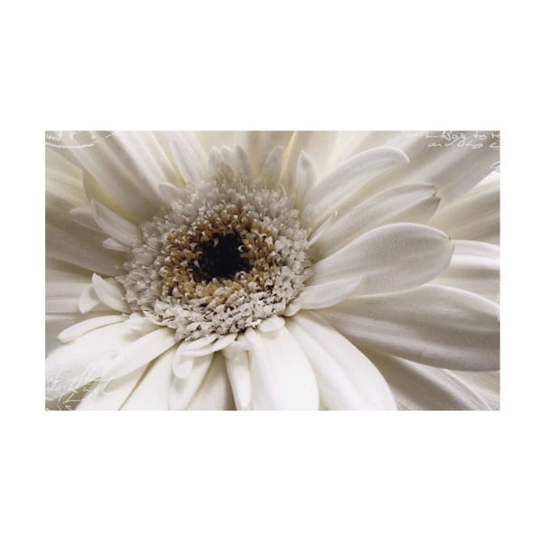 Fotoobraz White Flower