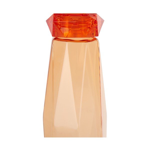 Oranž reisipudel 600 ml Mimo - Premier Housewares-image-3