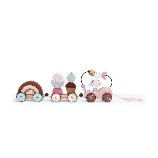 Nööriga mänguasi Train - Moulin Roty