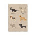 Laste seinavaip Dogs - Lorena Canals