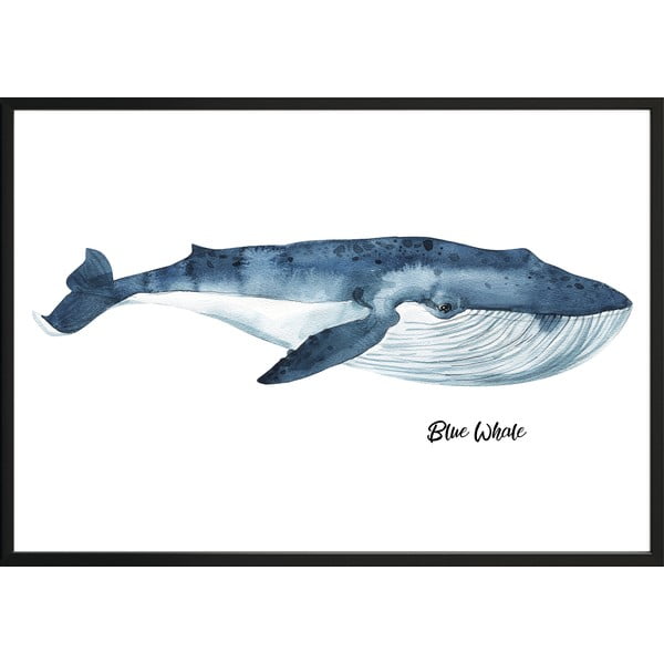 Seinaplakat raamiga Vaal, 50 x 70 cm Blue Whale - DecoKing