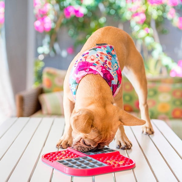 Limpsupadi Slomo Red - LickiMat-image-1