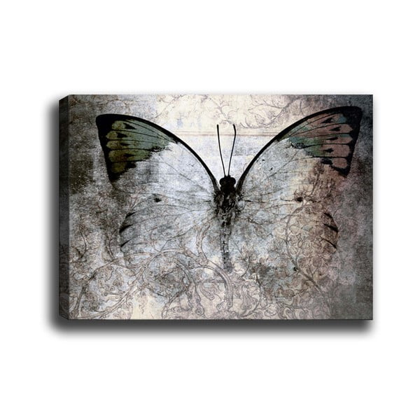 Maal, 70 x 50 cm Fading Butterfly - Tablo Center