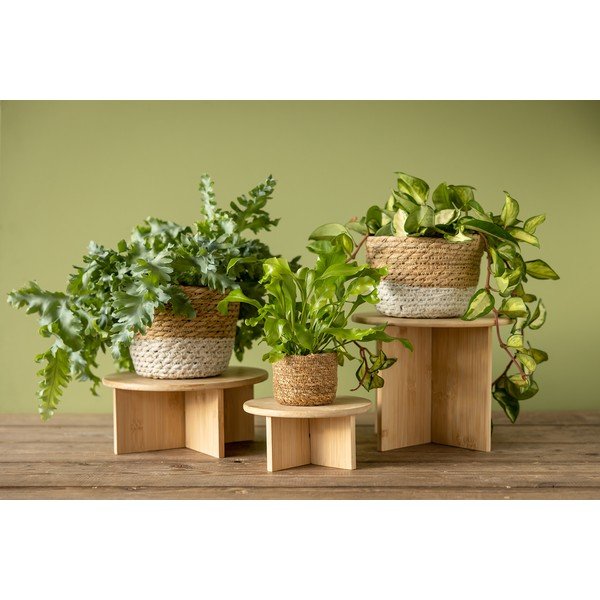 Bambusest lillealus ø 25 cm (kõrgus 19,5 cm) - Esschert Design-image-3