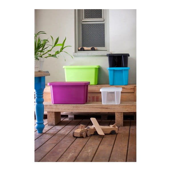 Sinine kaanega hoiukast , 45 l Essentials - Curver-image-2