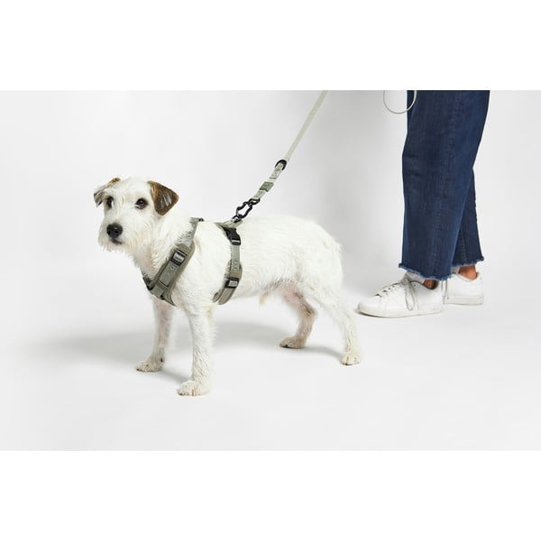 Roheline traksid S pikkus 30 cm Modena Grolive S – MiaCara-image-2