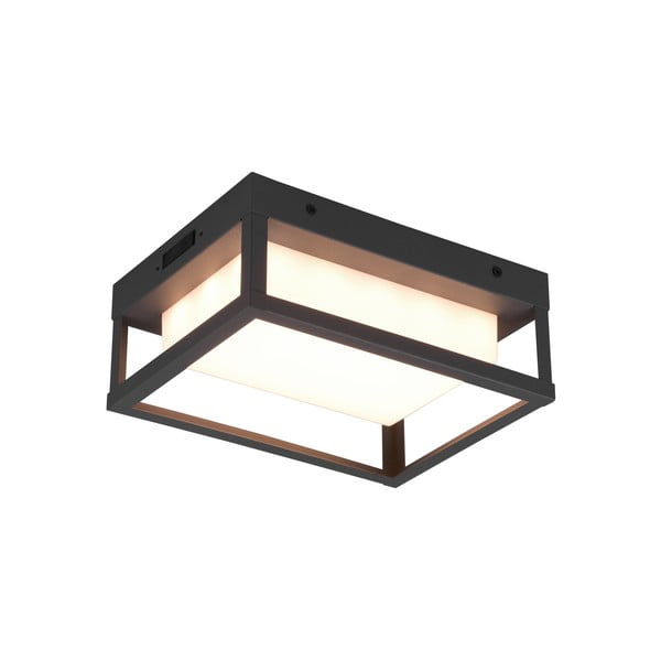 LED välitingimustes kasutatav seinalamp (kõrgus 24 cm) Witham - Trio-image-2