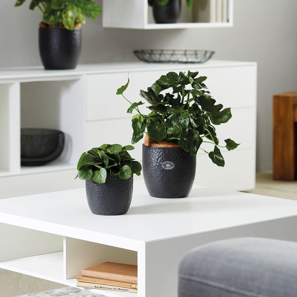 Keraamiline pott ø 27 cm Boston Mate - Big pots-image-1