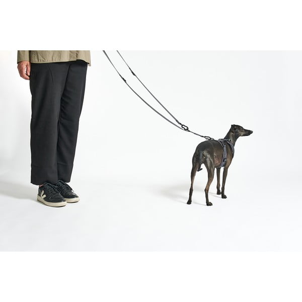 Beež rihm pikkus 200 cm Modena Greige 20 mm – MiaCara-image-2