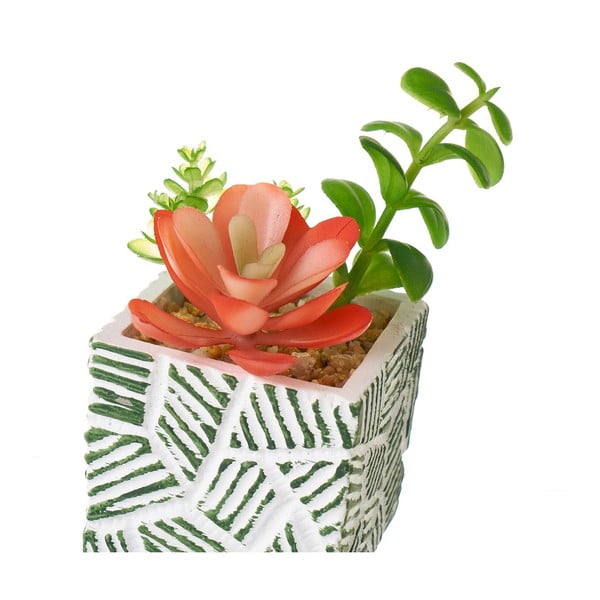 Kunsttaimed komplektis 3 tk (kõrgus 12 cm) Cactus – Casa Selección-image-3