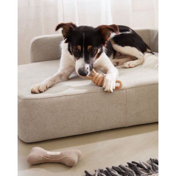 Beež koeravoodi 96x70 cm Bowie - Kave Home-image-2