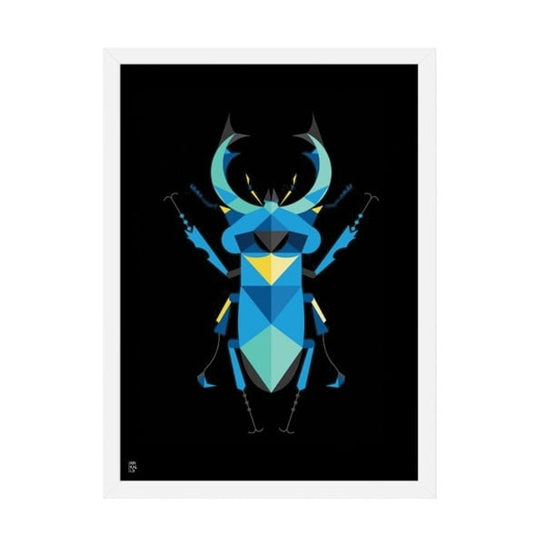Plakát Stag Beetle Black, 50x70 cm