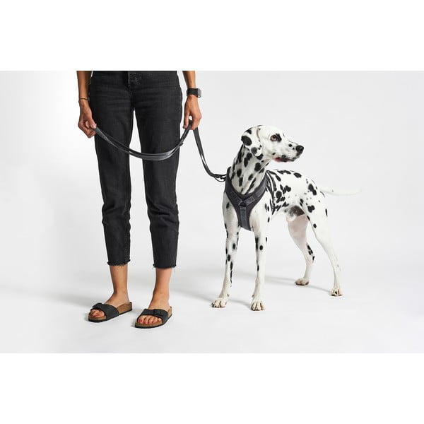 Tumehall traksid L pikkus 42 cm Modena Asphalt L – MiaCara-image-1