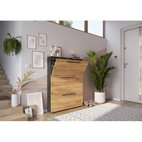 Tumehall tamme värvi hingedega jalatsiriiul Wildomar - Germania-image-4