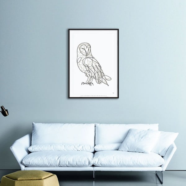 Plakát Barn Owl