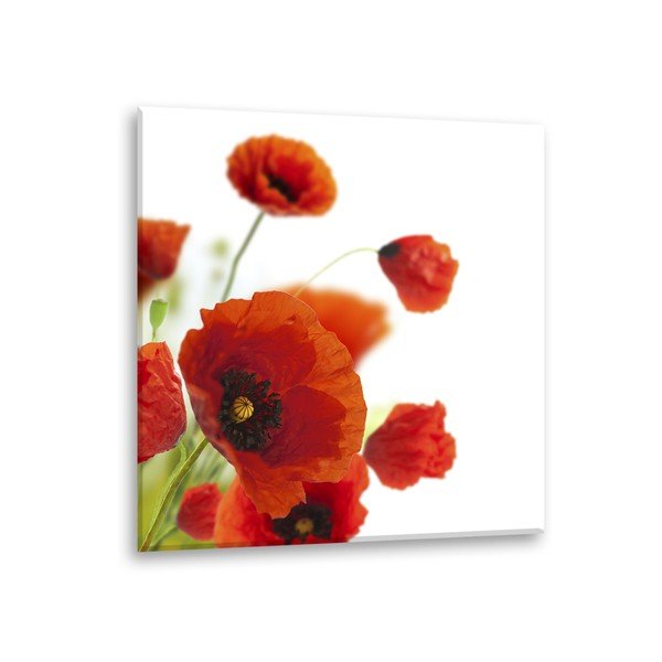 Obraz Styler Glas Maki Poppies, 30 x 30 cm-image-2