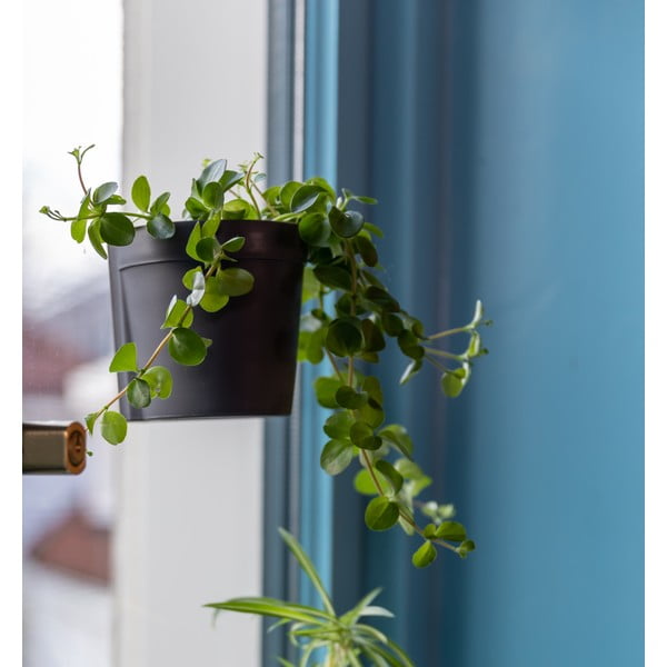 Plastikust rippuvad lillepotid 2tk komplektis ø 10 cm – Esschert Design-image-4