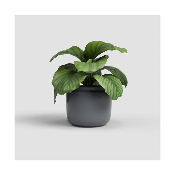 Keraamiline käsitöö lillepott ø 20 cm Astrea - Artevasi-image-1