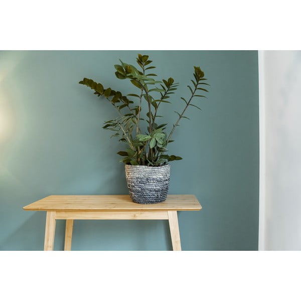 Mereheinakorv Coppitella - Wenko-image-3