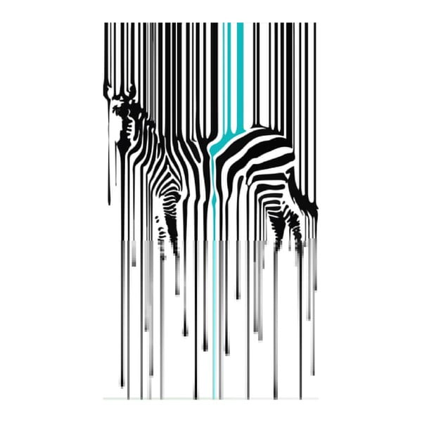 Obraz na plátně Zebra, 70 x 100 cm