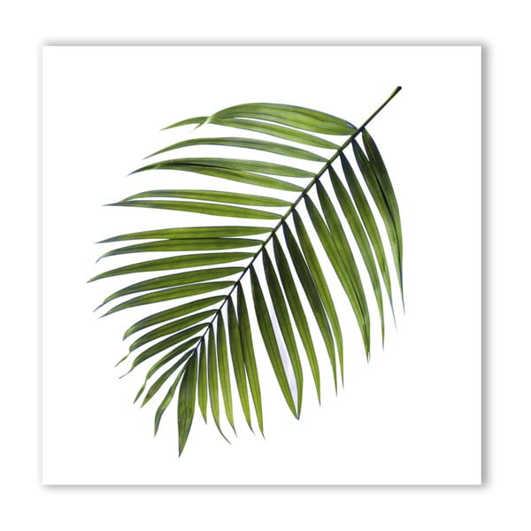 Lõuendmaal Must palm, 32 x 32 cm Greenery - Styler