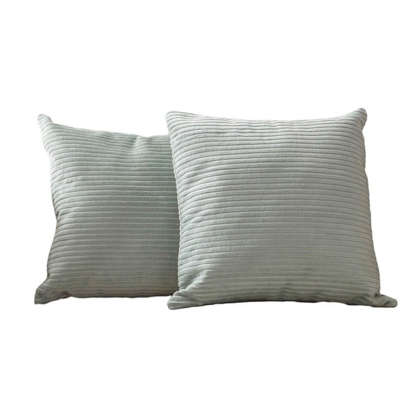 Velvetist padjakatted 2tk komplektis 43x43 cm - Mioli Decor