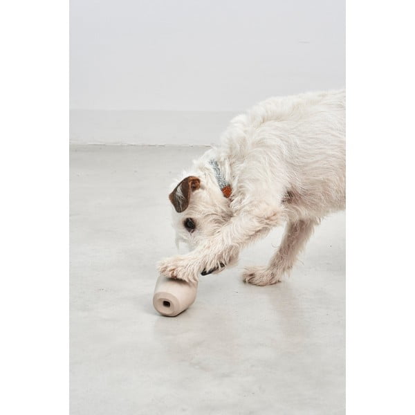 Mänguasi koerale Cono Greige - MiaCara-image-3