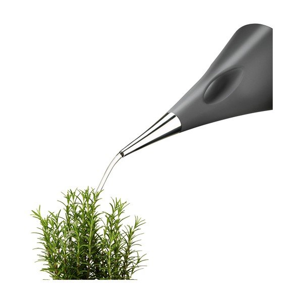 Antratsiithall teekann , 2 l AquaStar - Eva Solo-image-1