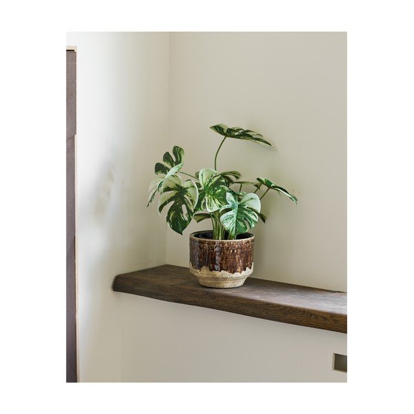 Kunstlill (kõrgus 41 cm) Monstera - House Nordic-image-1